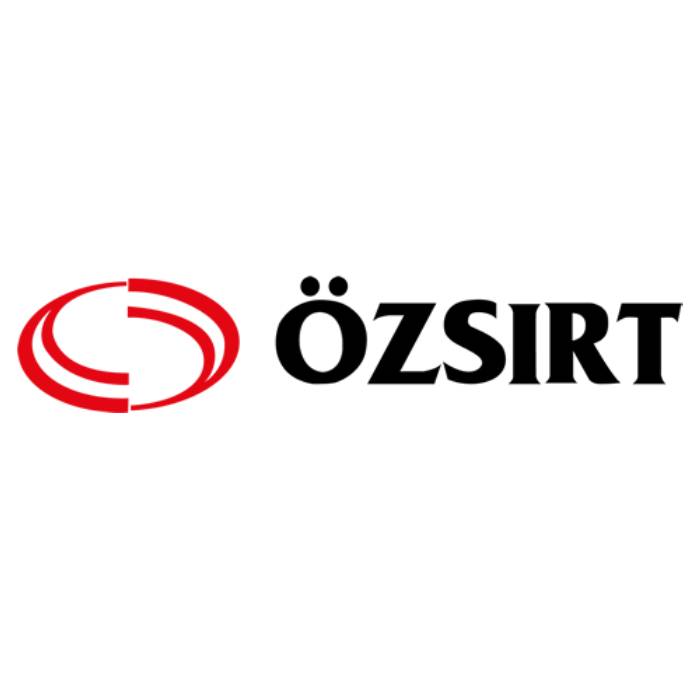 Özsırt